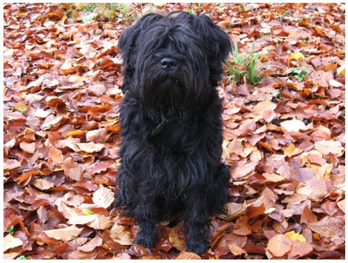 otto 2013-01-03